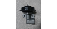廢氣活門(EGR)